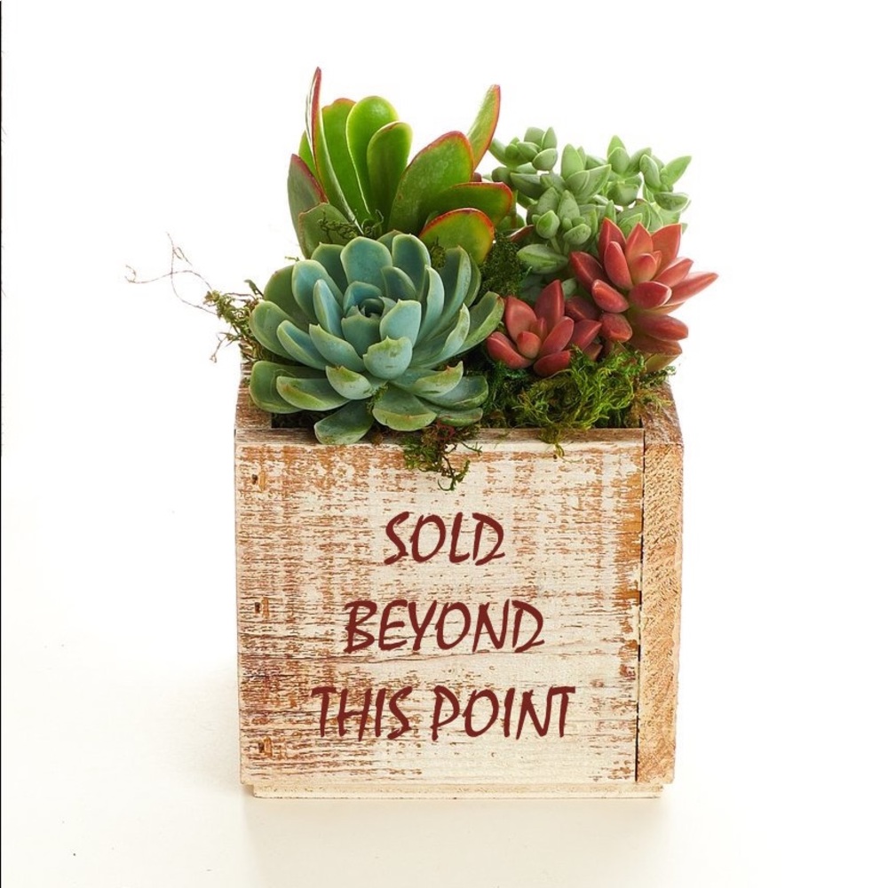 🍃SOLD🍃
